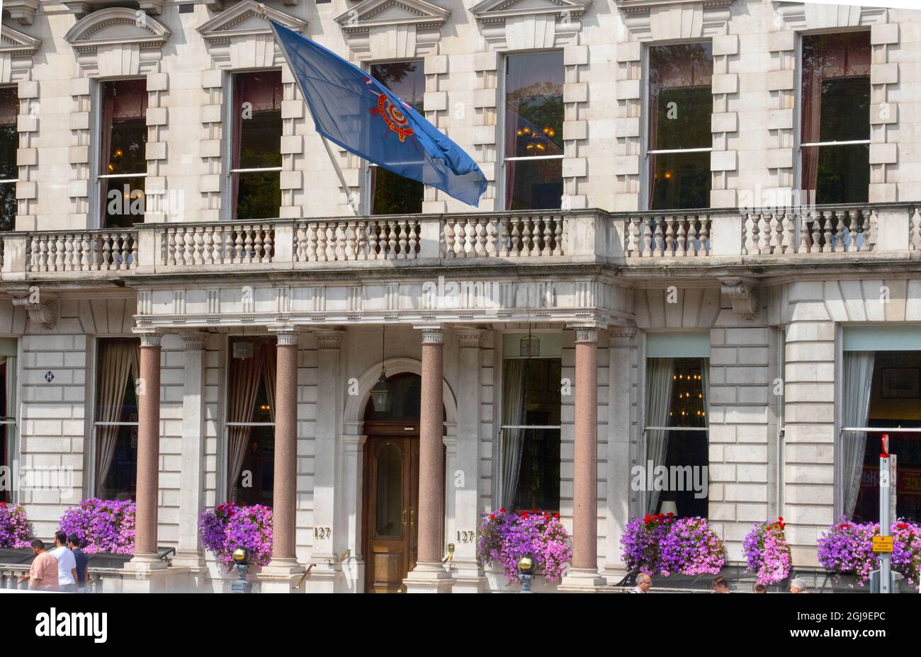 London, one finds this hotel with beautiful cineraria flower boxes in the windows. Stock Photo