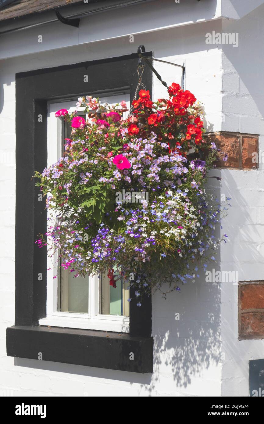 A hanging pot of assorted flowers in the village of Gretna Green, Scotland. Stock Photo