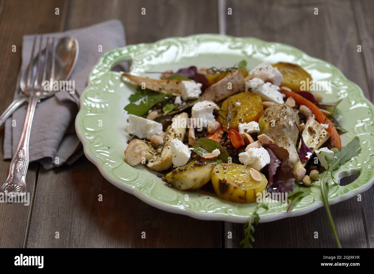 STOCKHOLM 20151127 Vegetarian Food. lentil salad with roasted root