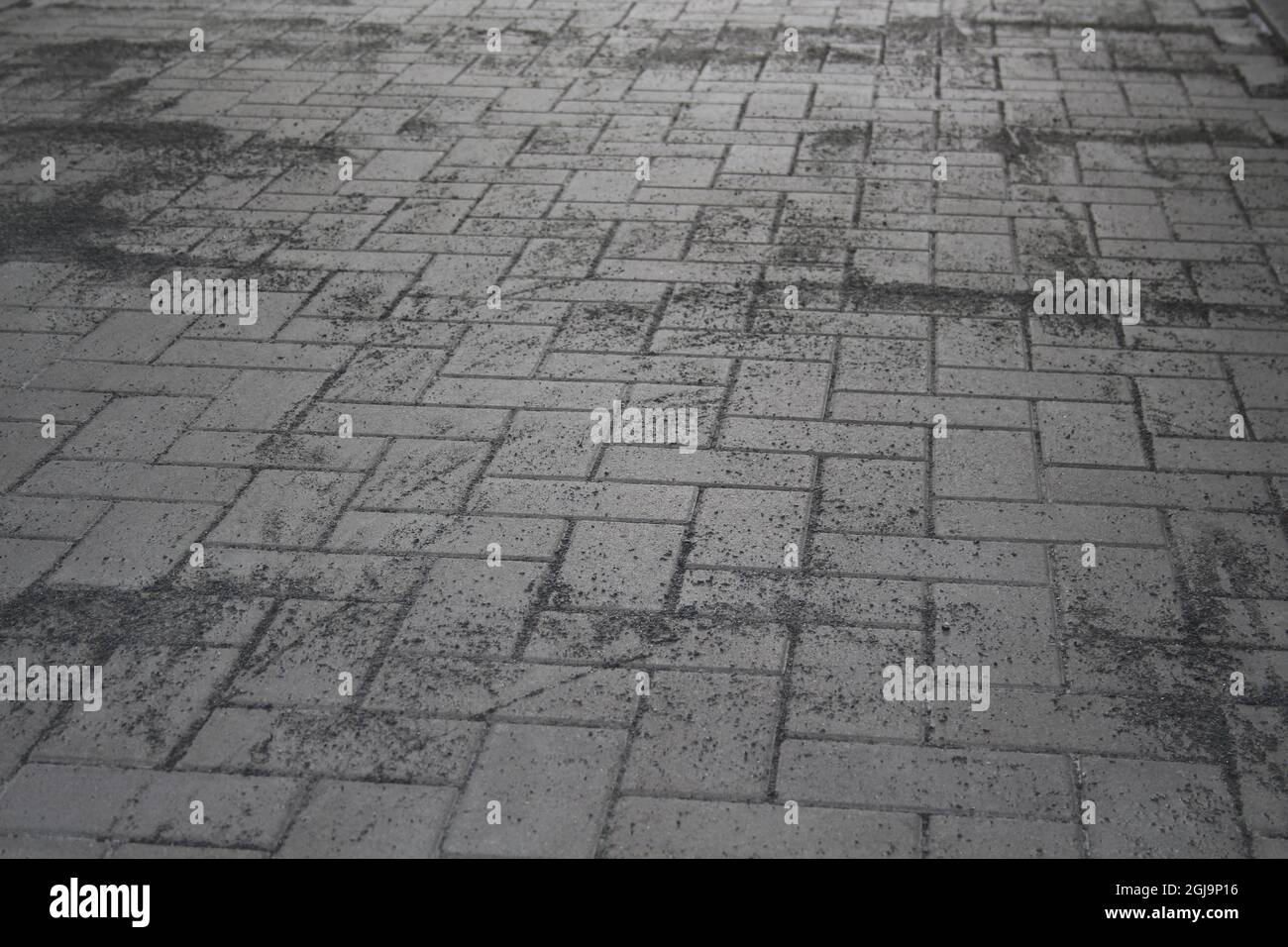 Frisch verlegtes Pflaster mit Einkehrsand - Freshly laid pavement with sand Stock Photo