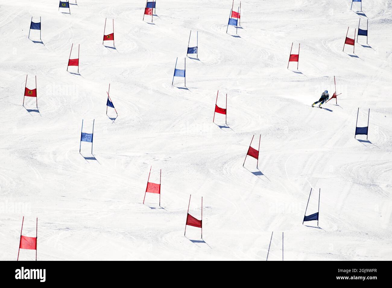 VAL SENALES 2015-10-25 Slalom training at Val Senales, Italy. Foto Ulf Palm / TT Kod 71515 alpine ski, skiing, ski, sports, slalom gates,course, piste  Stock Photo
