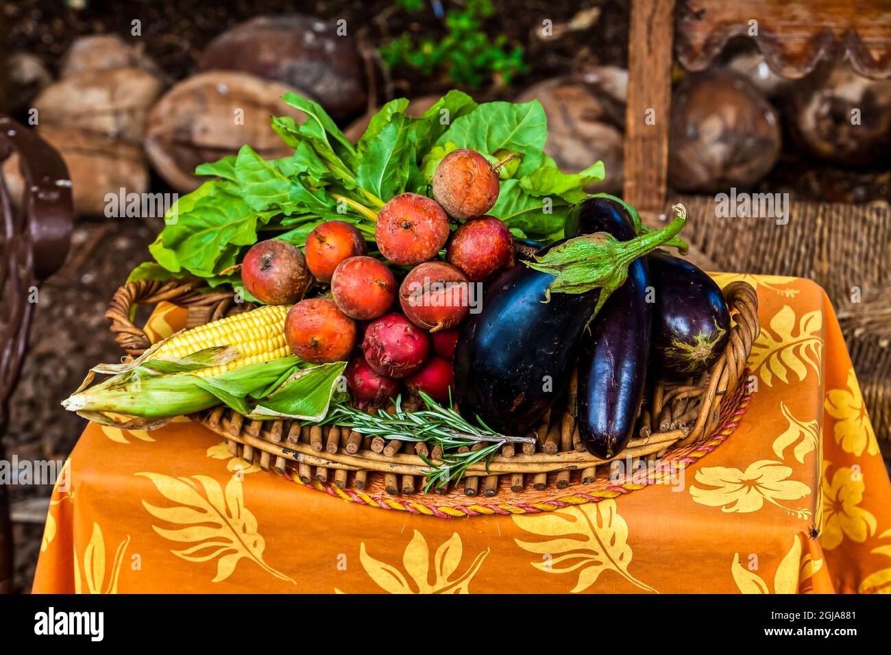 Farm on the island of molokai hi-res stock photography and images - Alamy