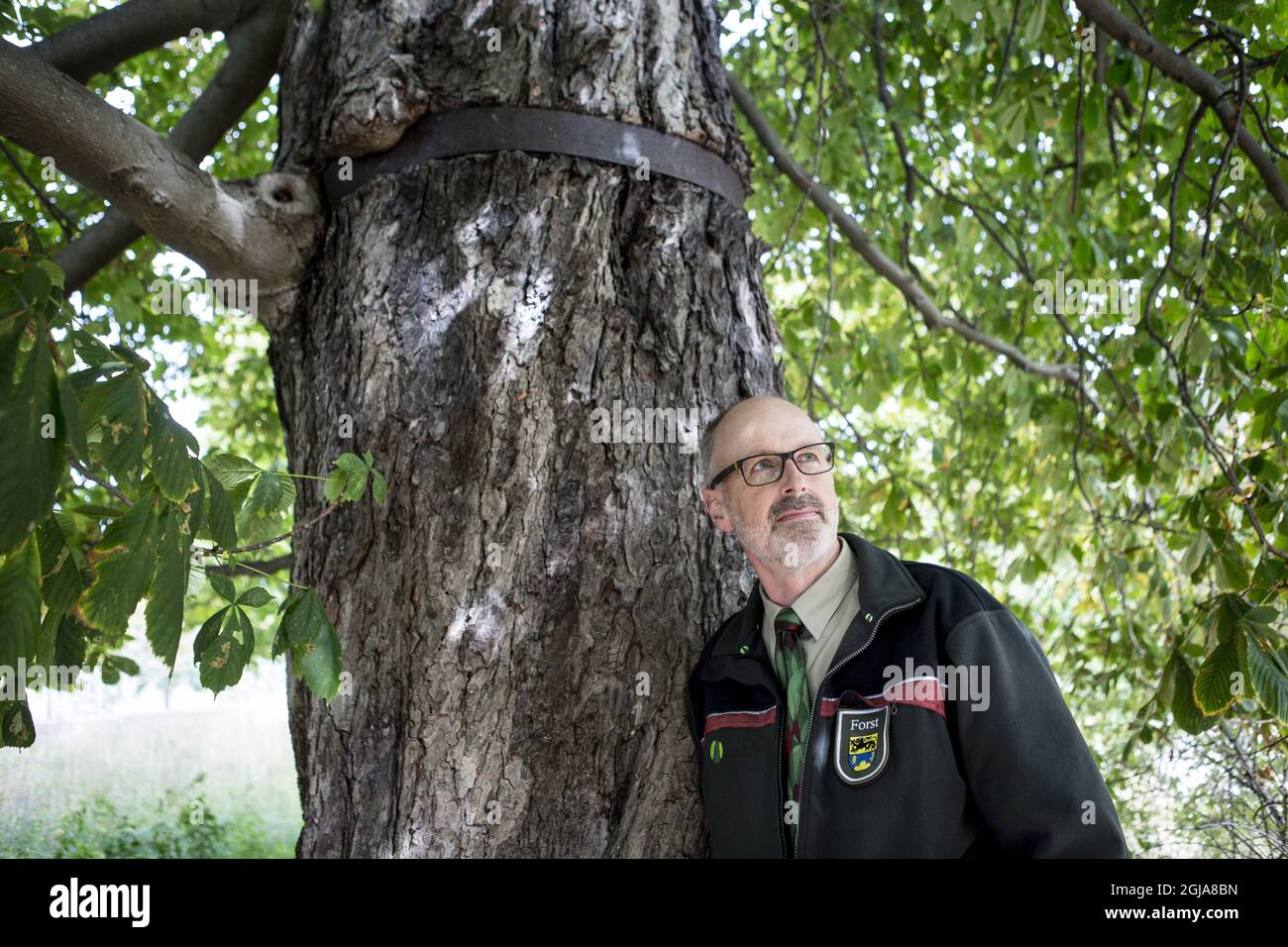 Wohlleben High Resolution Stock Photography and Images - Alamy