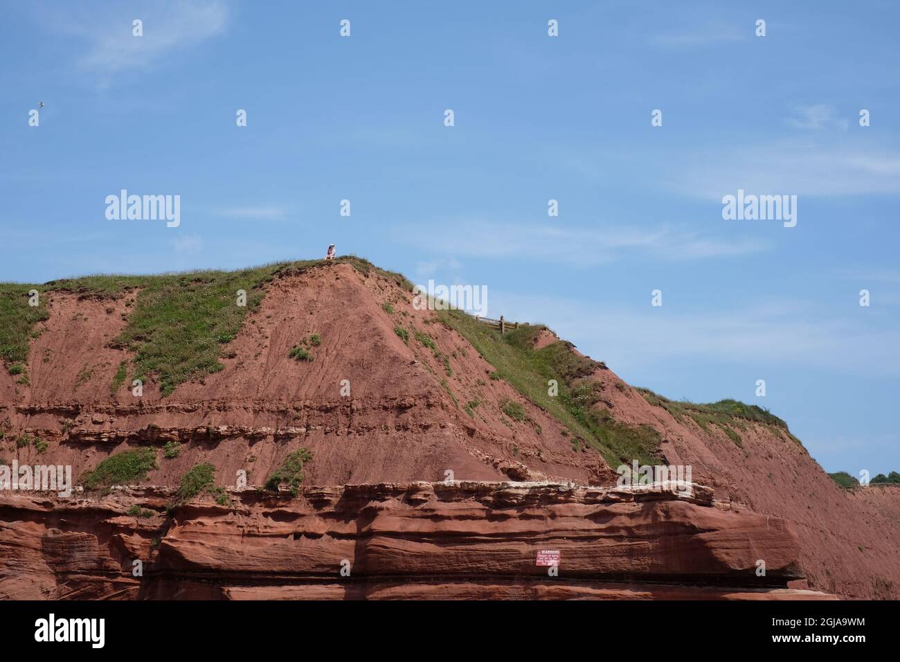 A woman sits at the edge of the unstable red sandstone cliffs of Orcombe Point. A warning sign is visible on the cliff face below. Exmouth, Devon. Stock Photo