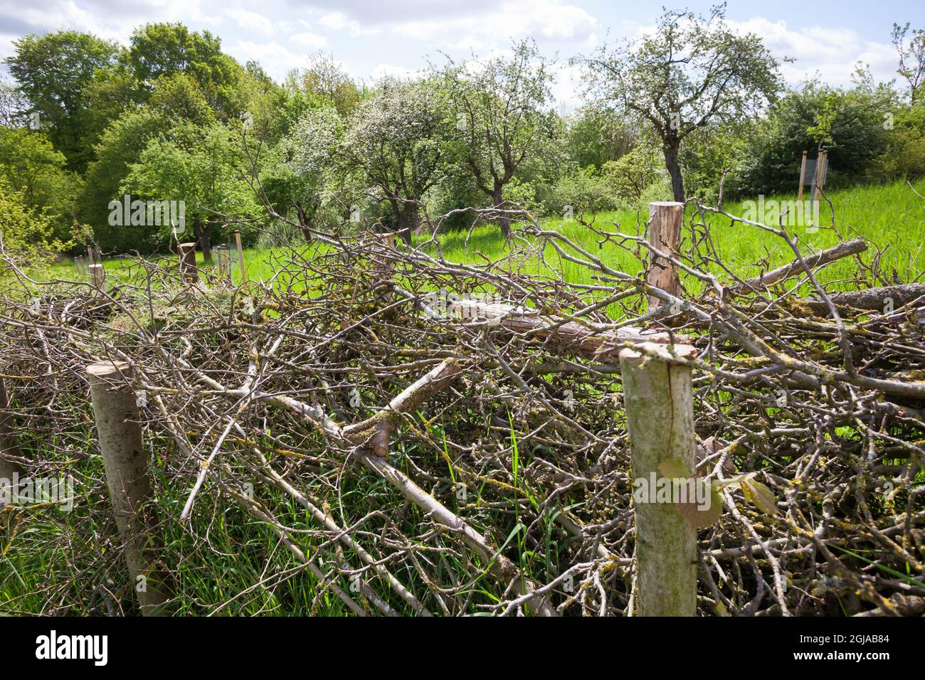Zaun aus Reisig, Zaun, Begrenzung, Ästezaun, Reisigzaun, Reisighaufen