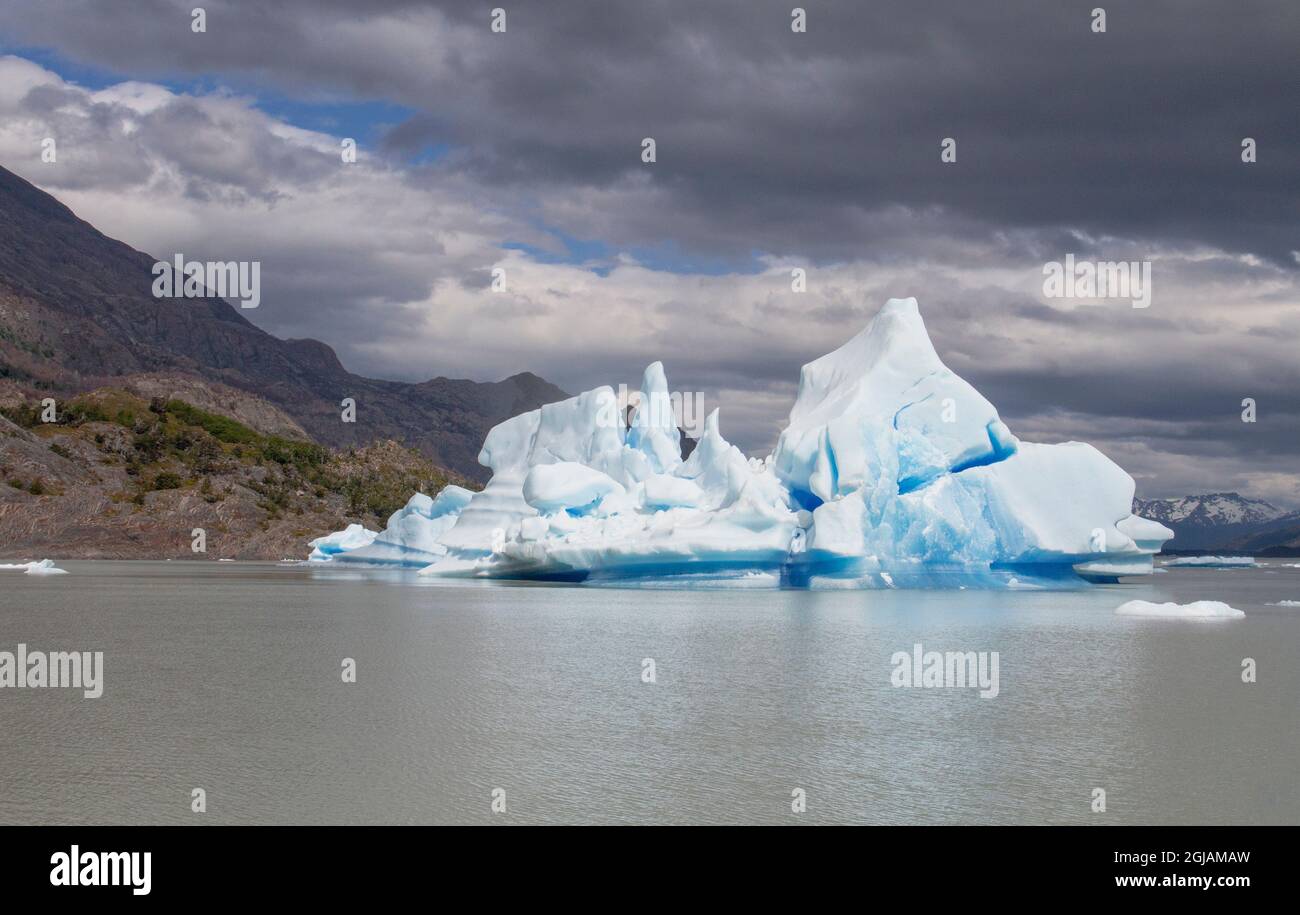 Within Parc Nacional Torres del Paine, one finds the Grey Glacier which is in the southern Patagonian Ice field. This is an iceberg which has broken o Stock Photo