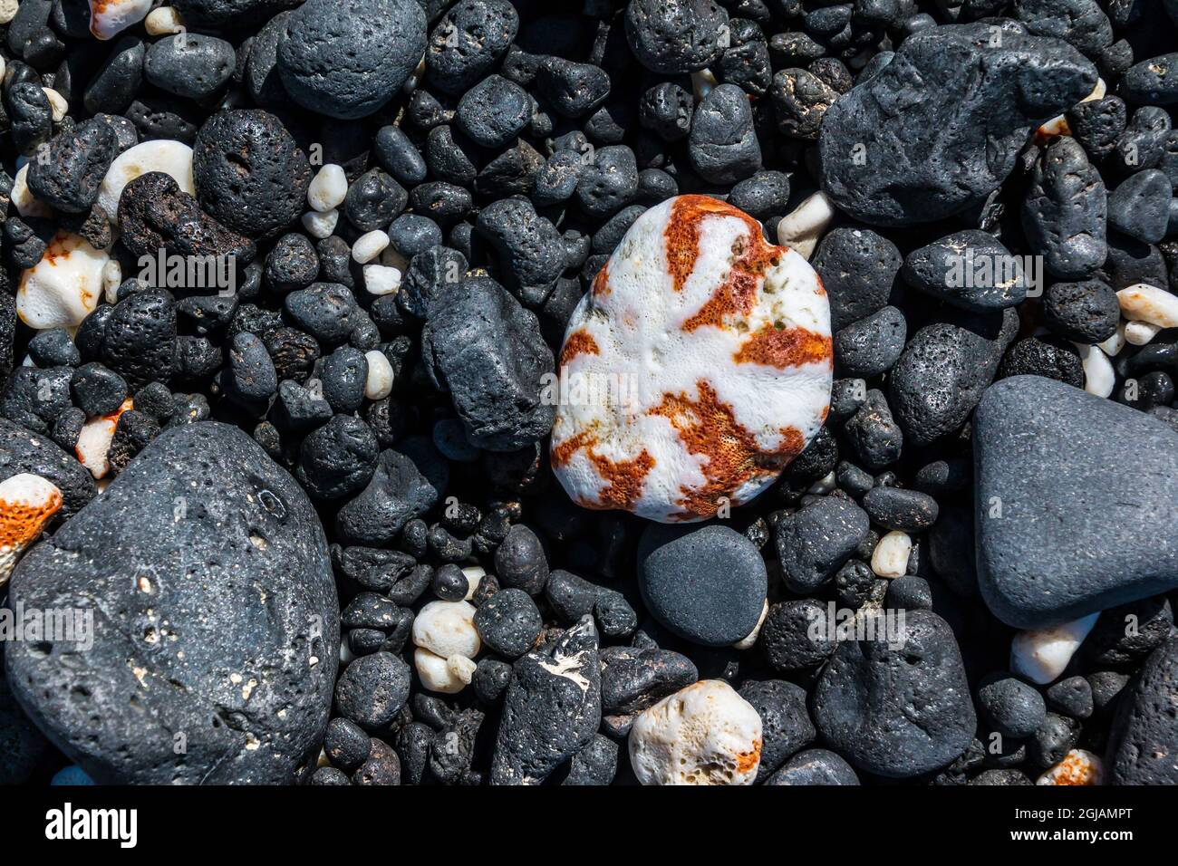 Broken Coral and Lava Rocks Covering The Barren Coast of Cape ...