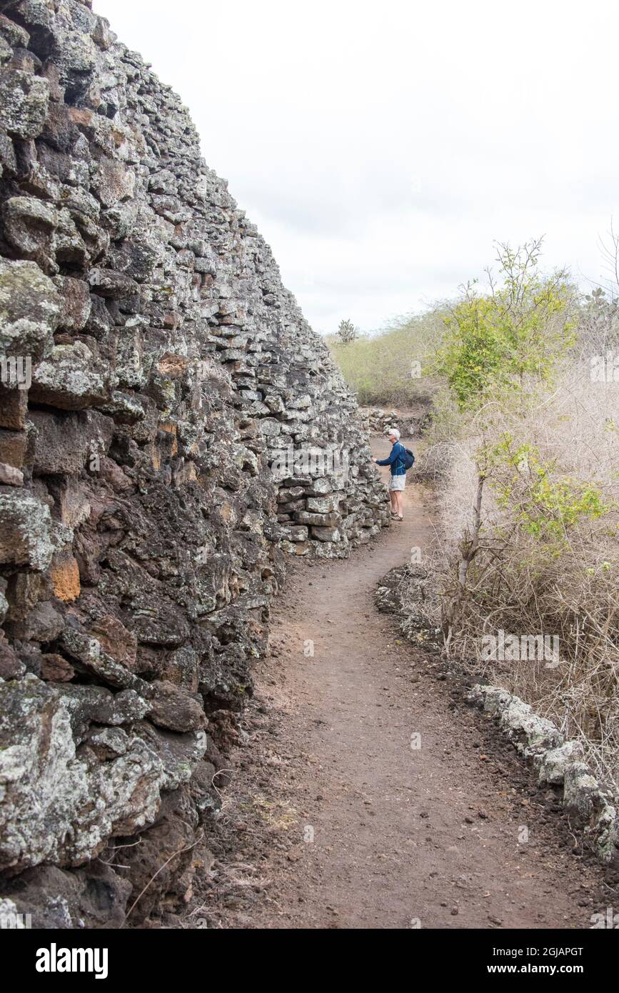 Ecuador, Galapagos Islands. El Muro de las Lagrimas, Wall of Tears, Isabela Island. Hiker studies wall and provides sense of scale. (MR) Stock Photo