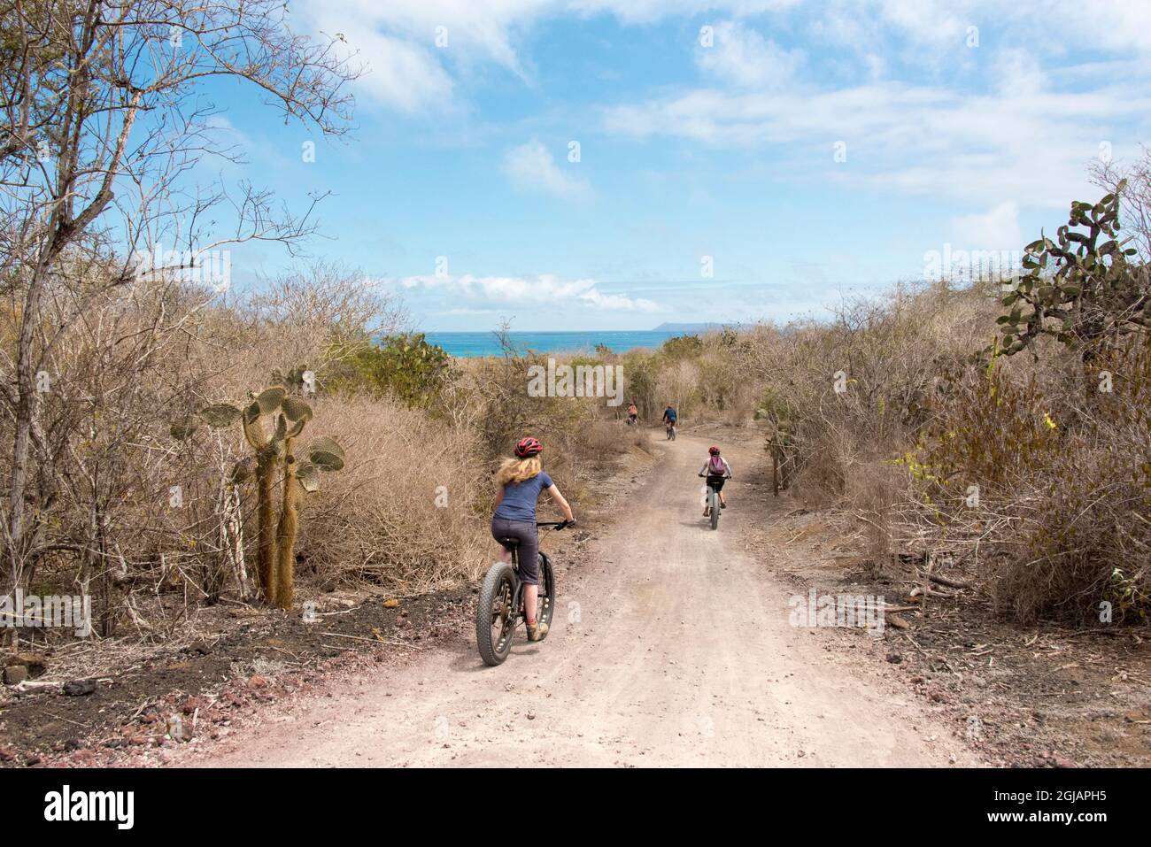 Ecuador, Galapagos Islands, Isabela Island. Bicyclists return from Wall of Tears to coast. (MR) Stock Photo