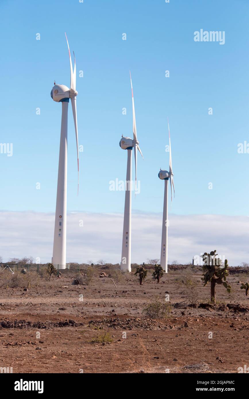 Ecuador, Galapagos, Baltra Island. Baltra used by US as a military base during World War II. Alternative energy windmills Stock Photo