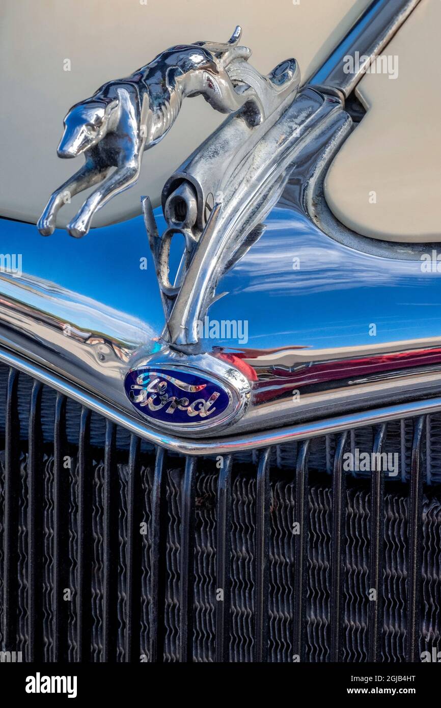 Ford Greyhound hood ornament Stock Photo Alamy