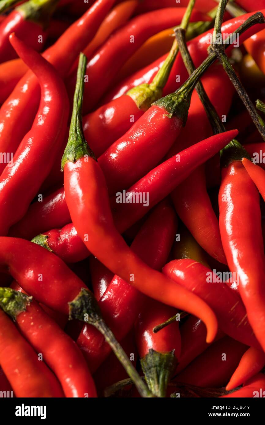 Red spicy chili peppers in hi-res stock photography and images - Alamy