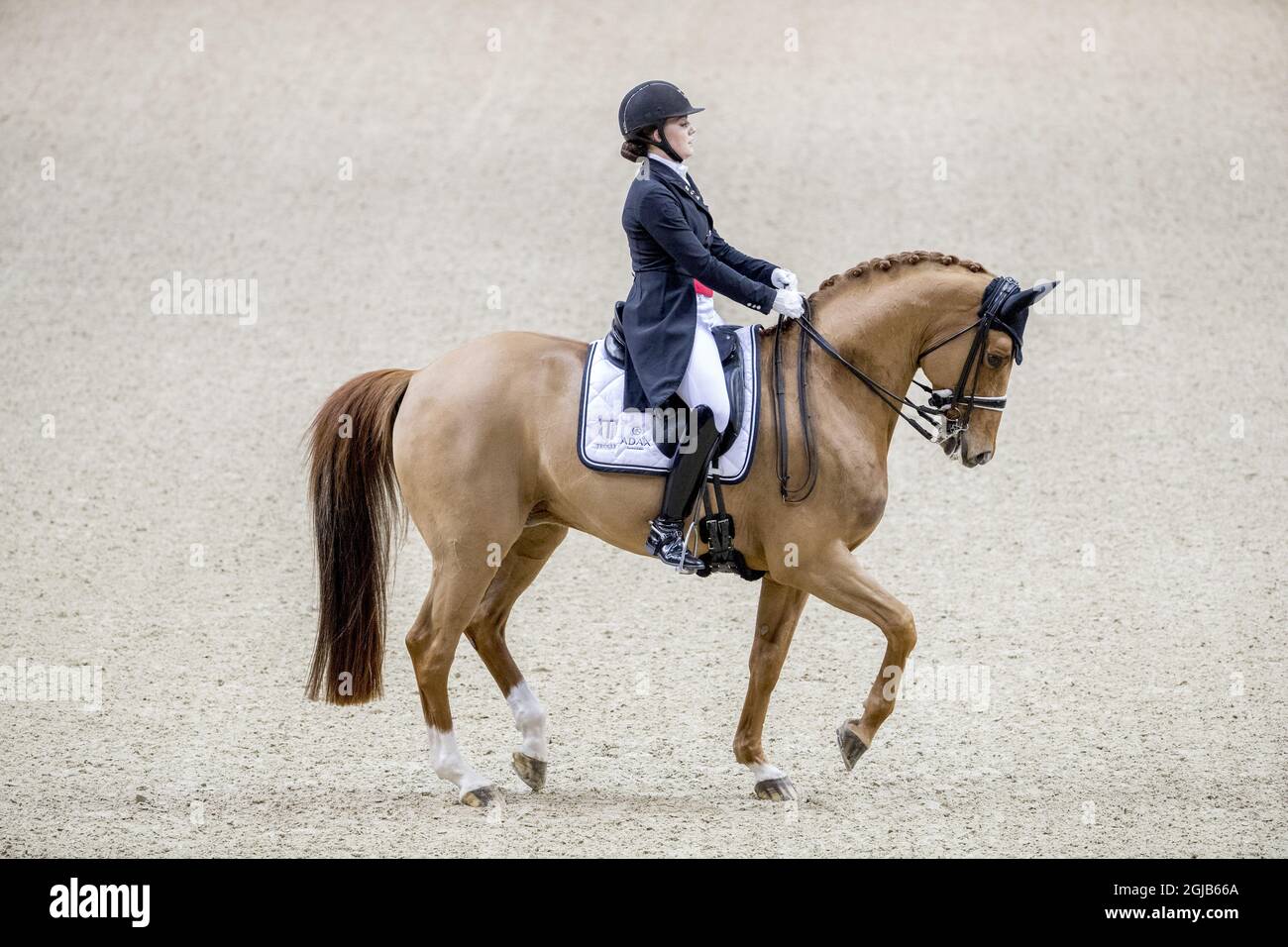 horse show hires stock photography and images Alamy