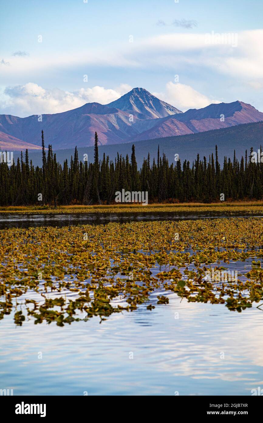 Glennallen, Alaska, Wrangell Mountains Stock Photo Alamy