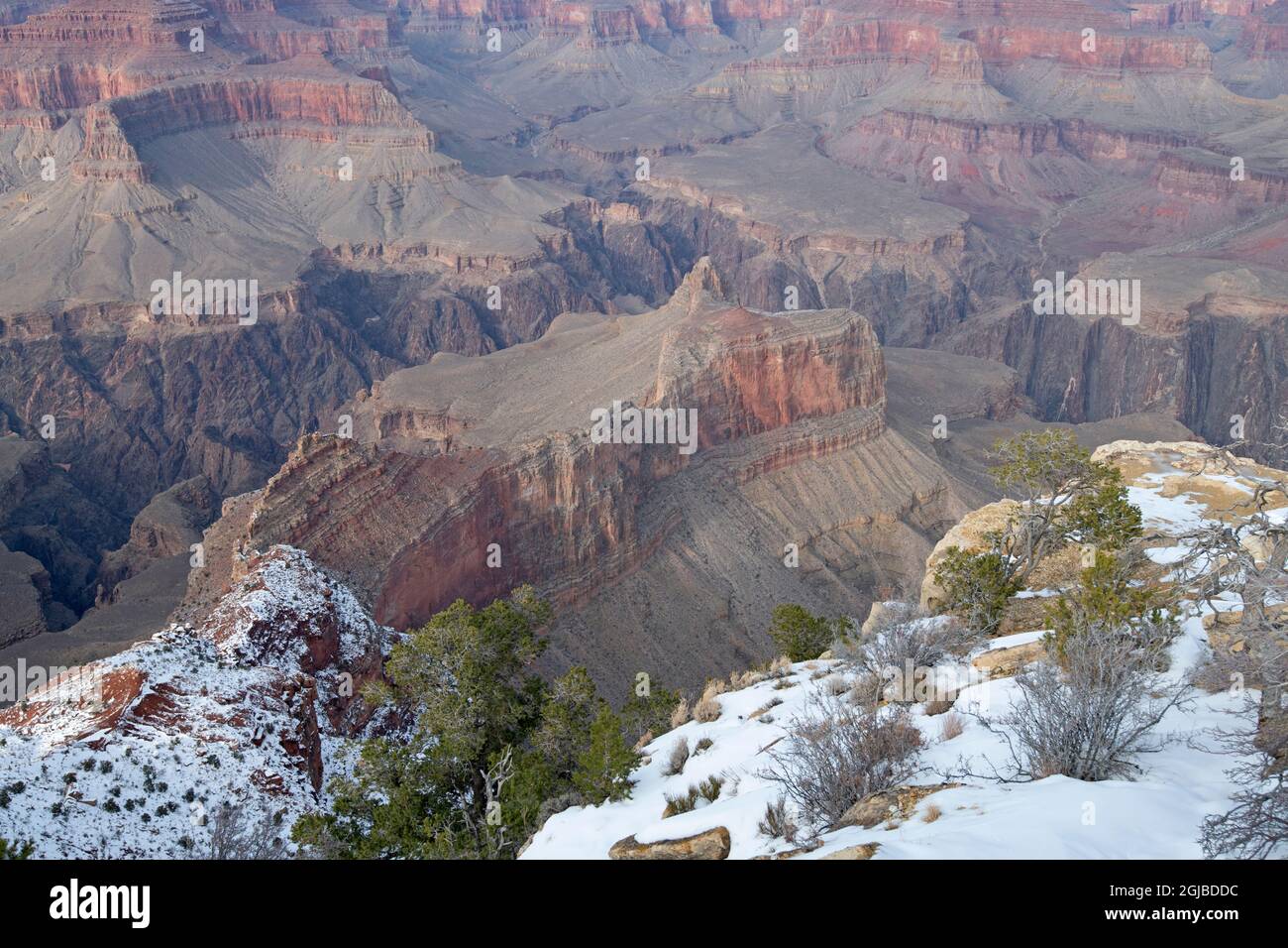 Powell Point, Grand Canyon National Park, Arizona, USA Stock Photo