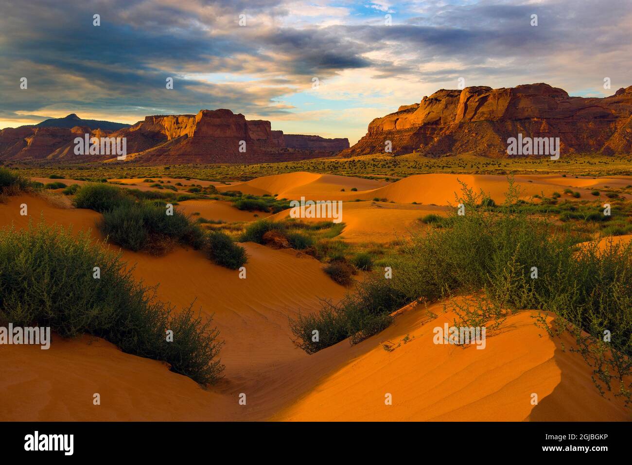 Lukachukai dunes hires stock photography and images Alamy