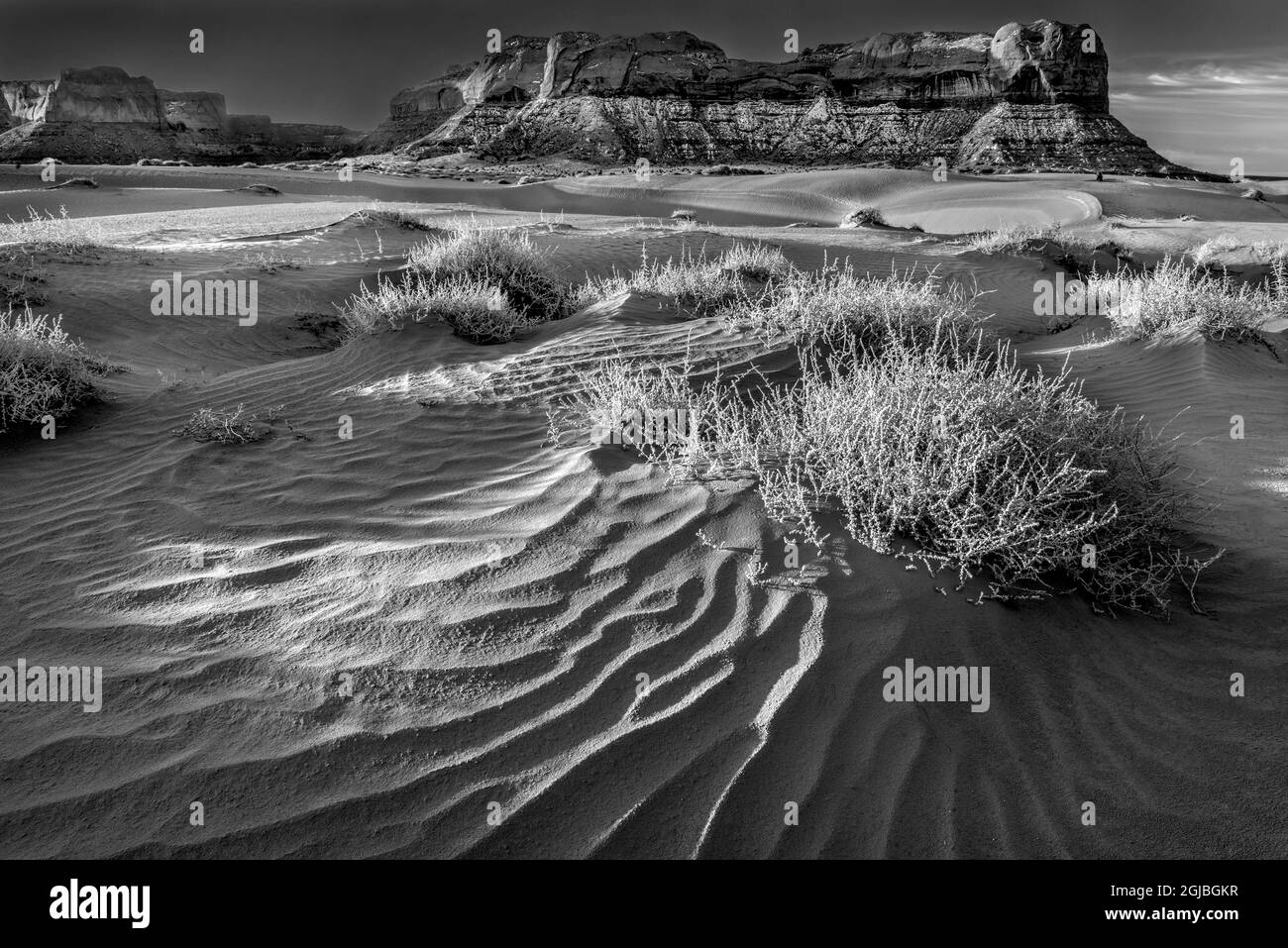 Lukashenka desert sand dunes in northern Arizona Stock Photo