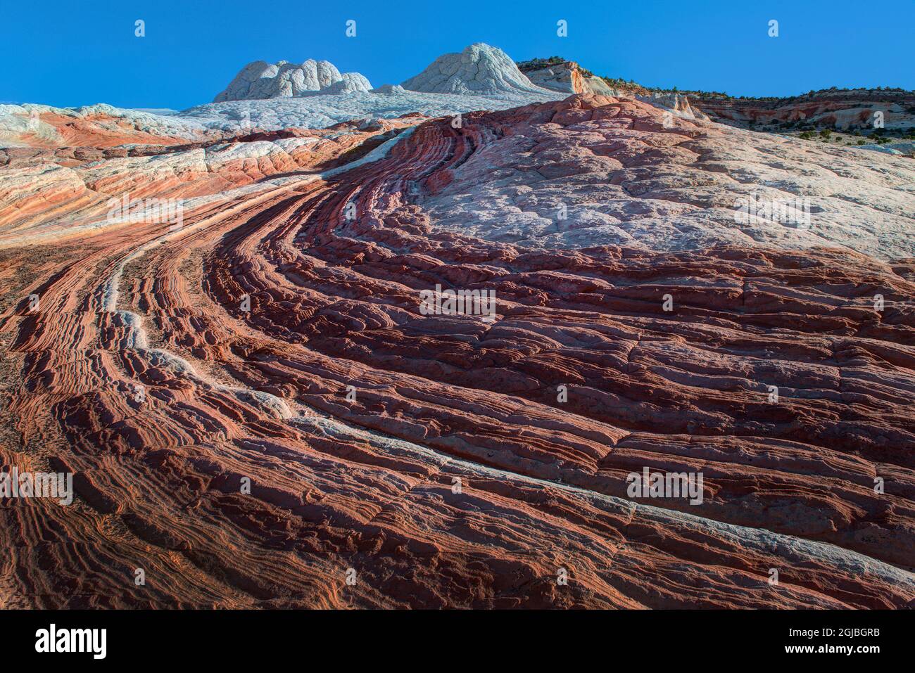 Arizona Swirl Rocks Swirls of colored sandstone in the white pockets area in northern ...