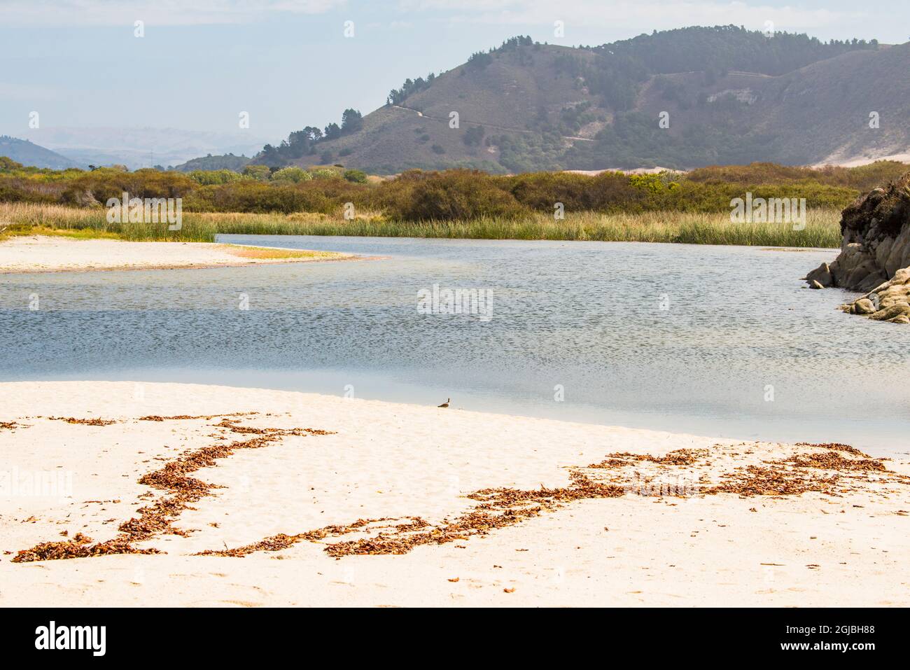 USA, California. Carmel Beach where Carmel River terminates, tidal pool