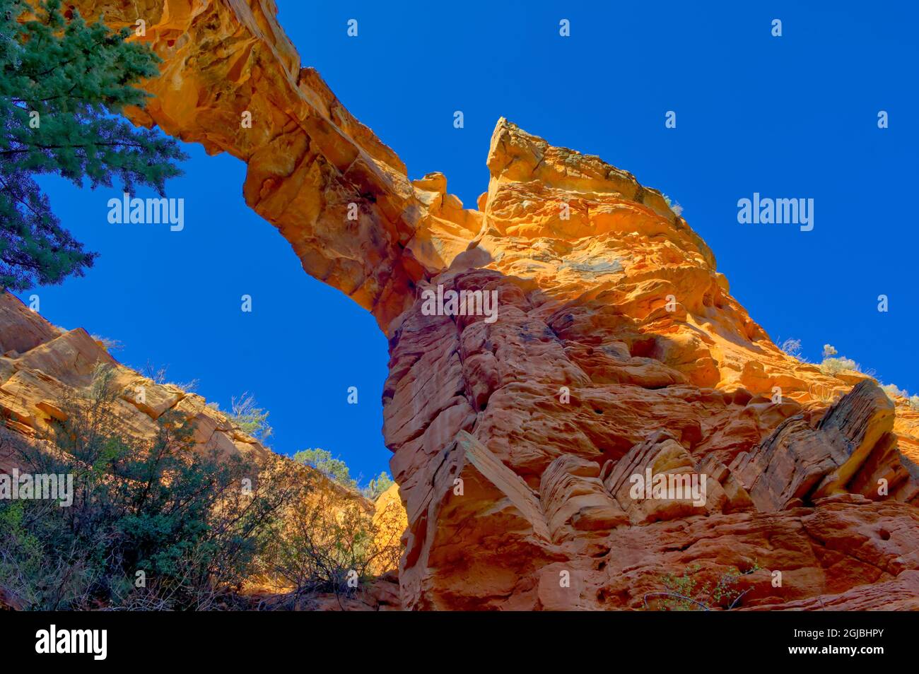 A morning view of Devil's Bridge from its base near Sedona Arizona. It is a natural arch on the north side of Thunder Mountain. Stock Photo