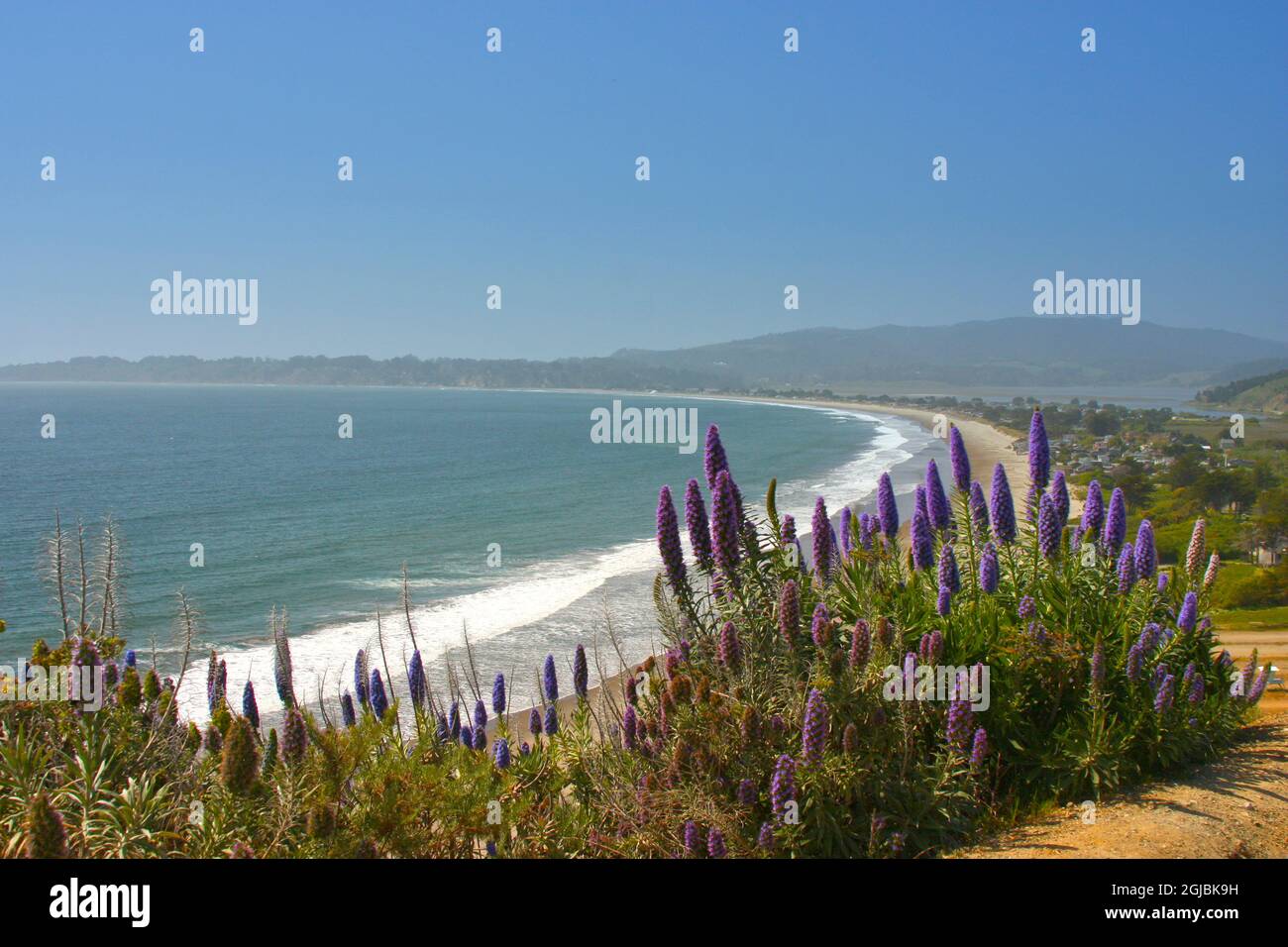 Beach, Coastal Marin Headlands, California, USA Stock Photo Alamy