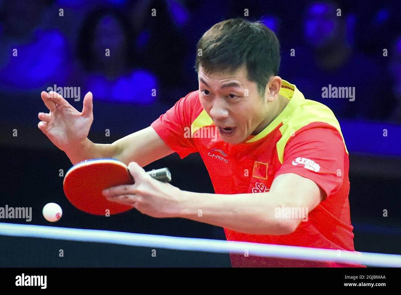 Xu Xin of China in action against compatriot Fan Zhendong during the men's single final table tennis match at the Swedish Open Championships in Eriksdalshallen in Stockholm, Sweden, on Nov. 04, 2018. Photo: Hanna Franzén / TT / kod 11870  Stock Photo