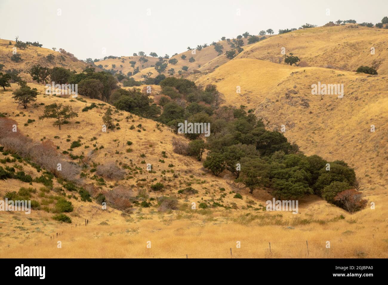 USA, California, Kern County. Landscape of valley and hills. Stock Photo
