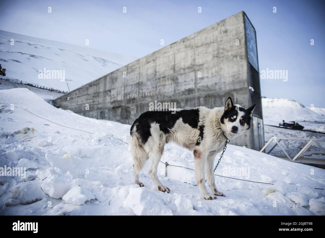 Svalbard Seed Vault High Resolution Stock Photography And Images Alamy Svalbard Seed Vault High Resolution Stock Photography And Images Alamy