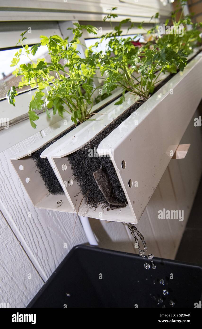 Hydroponics is a subset of hydroculture, which is a method of growing