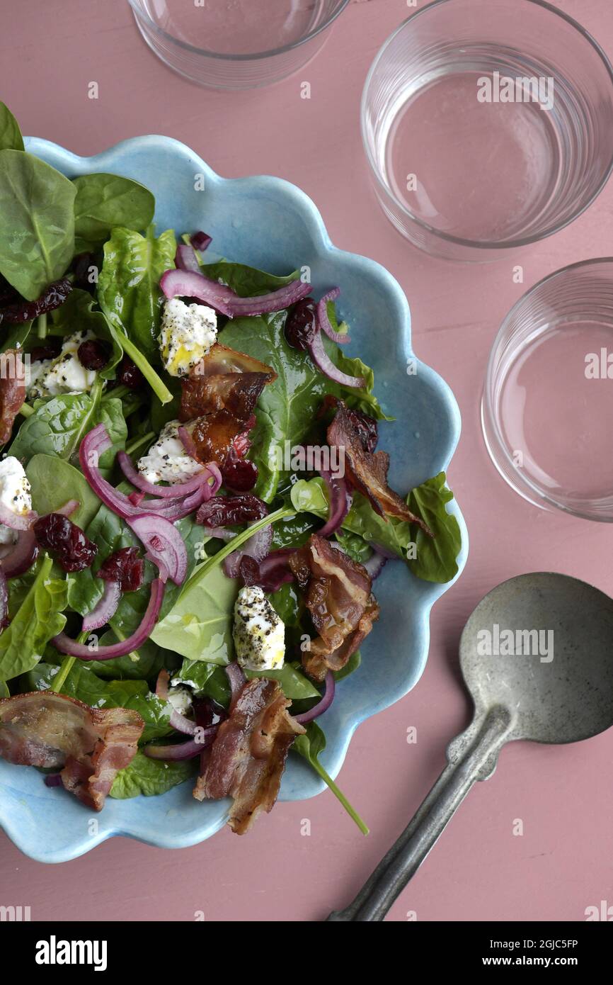 Spinach salad with bacon , cranberries goat cheese Foto Janerik