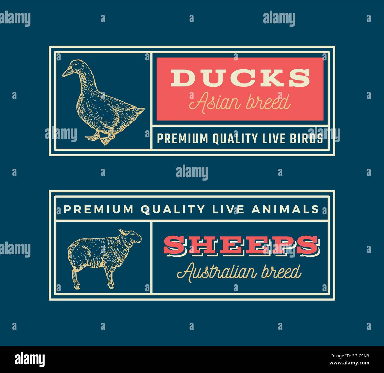 Meat and Poultry Retro Framed Badges or Logo Templates Set. Hand Drawn