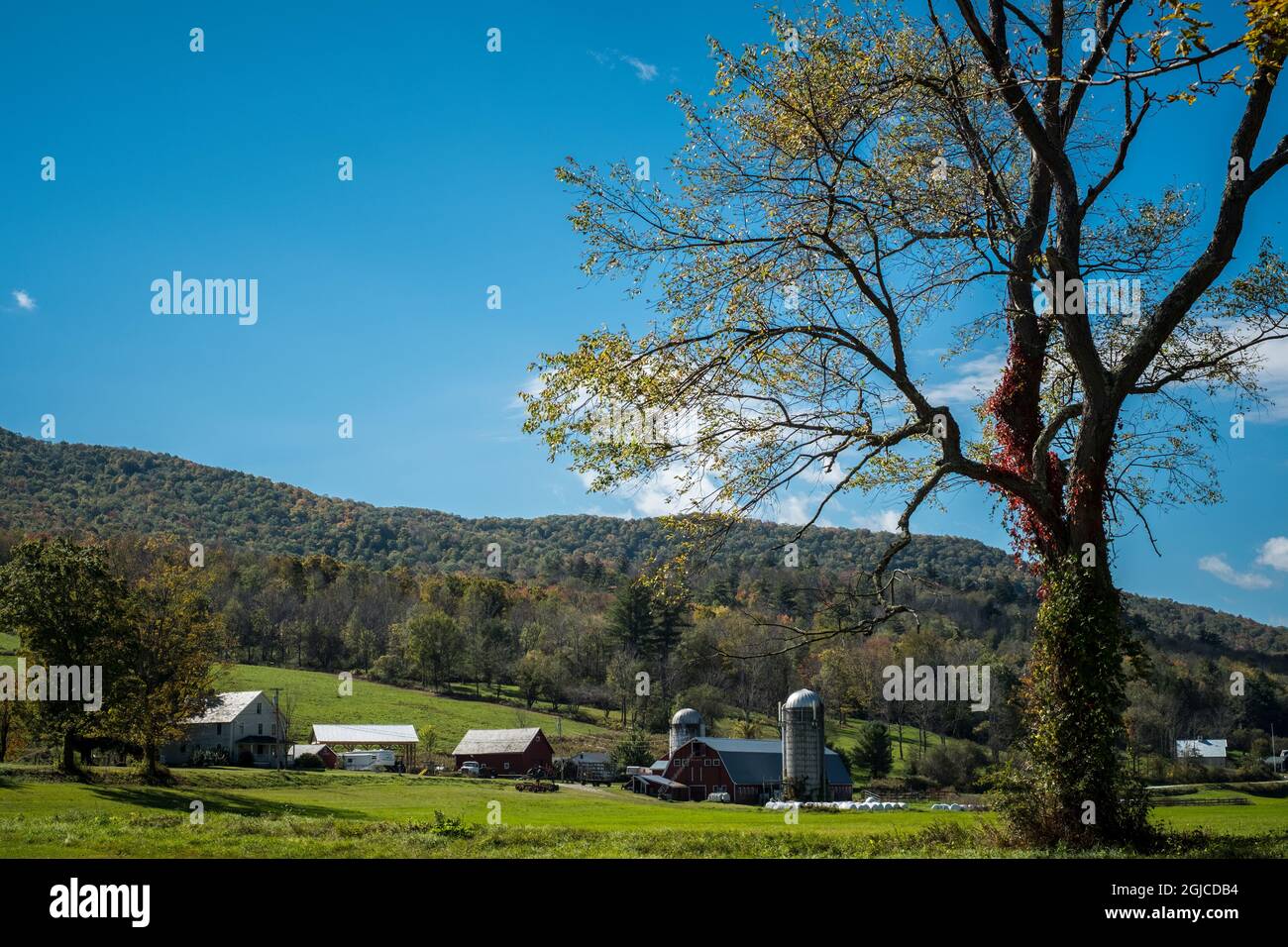 Colorado ranch scene Stock Photo