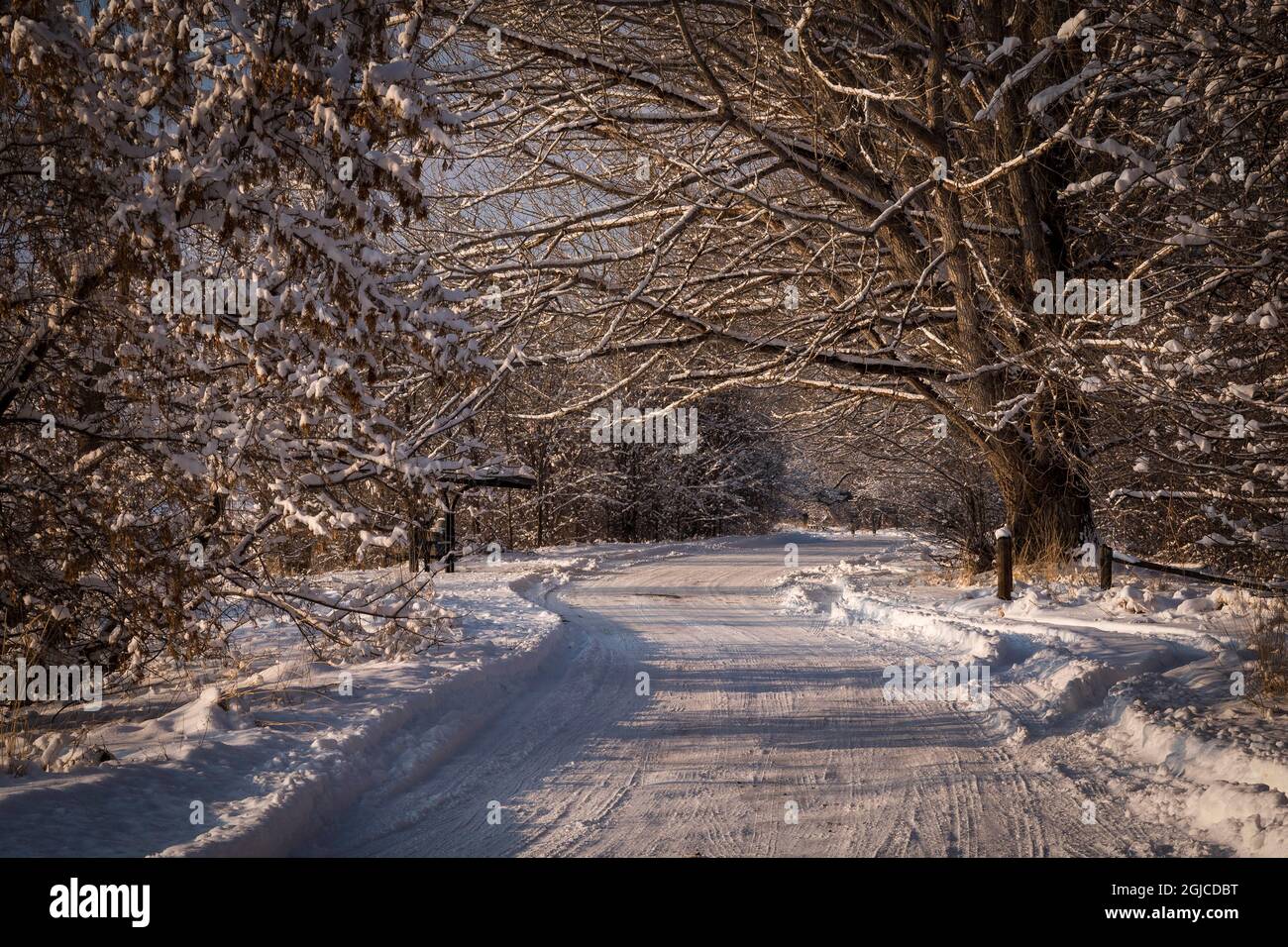 Colorado, Rist Canyon, road, winter scene Stock Photo