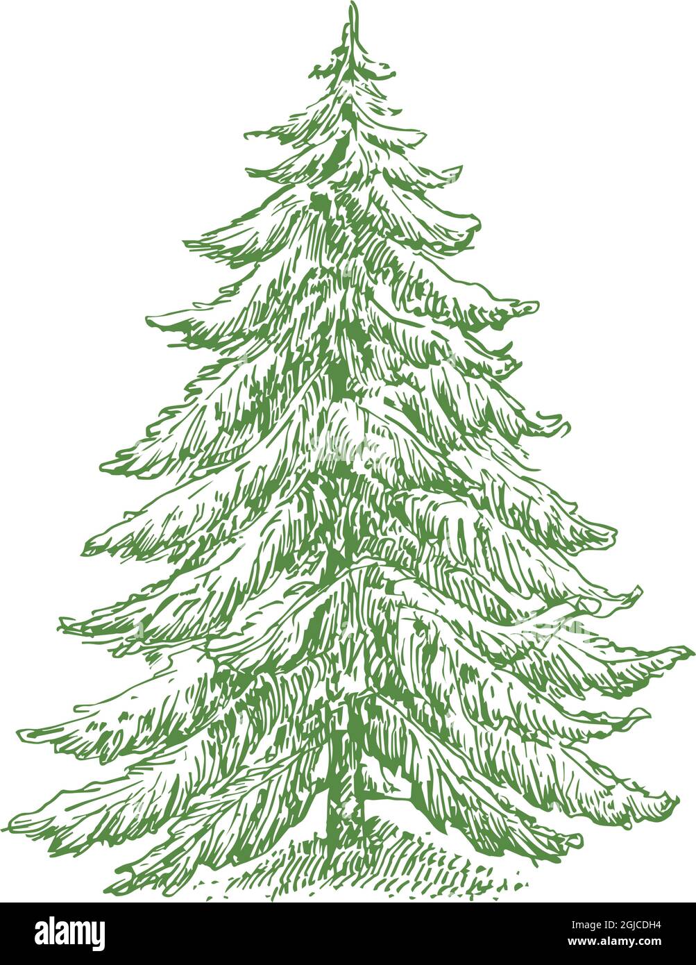 How to Draw a Christmas Tree for Kids