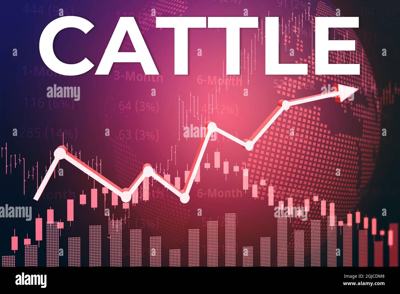 Price change on trading Cattle futures on magenta finance background from graphs, charts, columns, pillars, candles, bars, number. Trend Up and Down, Stock Photo