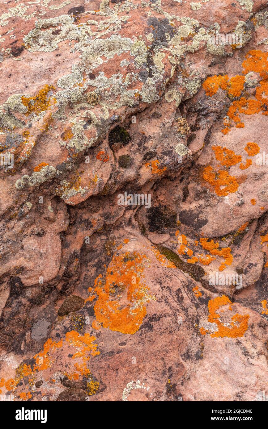 USA, Colorado, Colorado National Monument, Lichen covered sandstone rock near Monument Canyon Overlook. Stock Photo