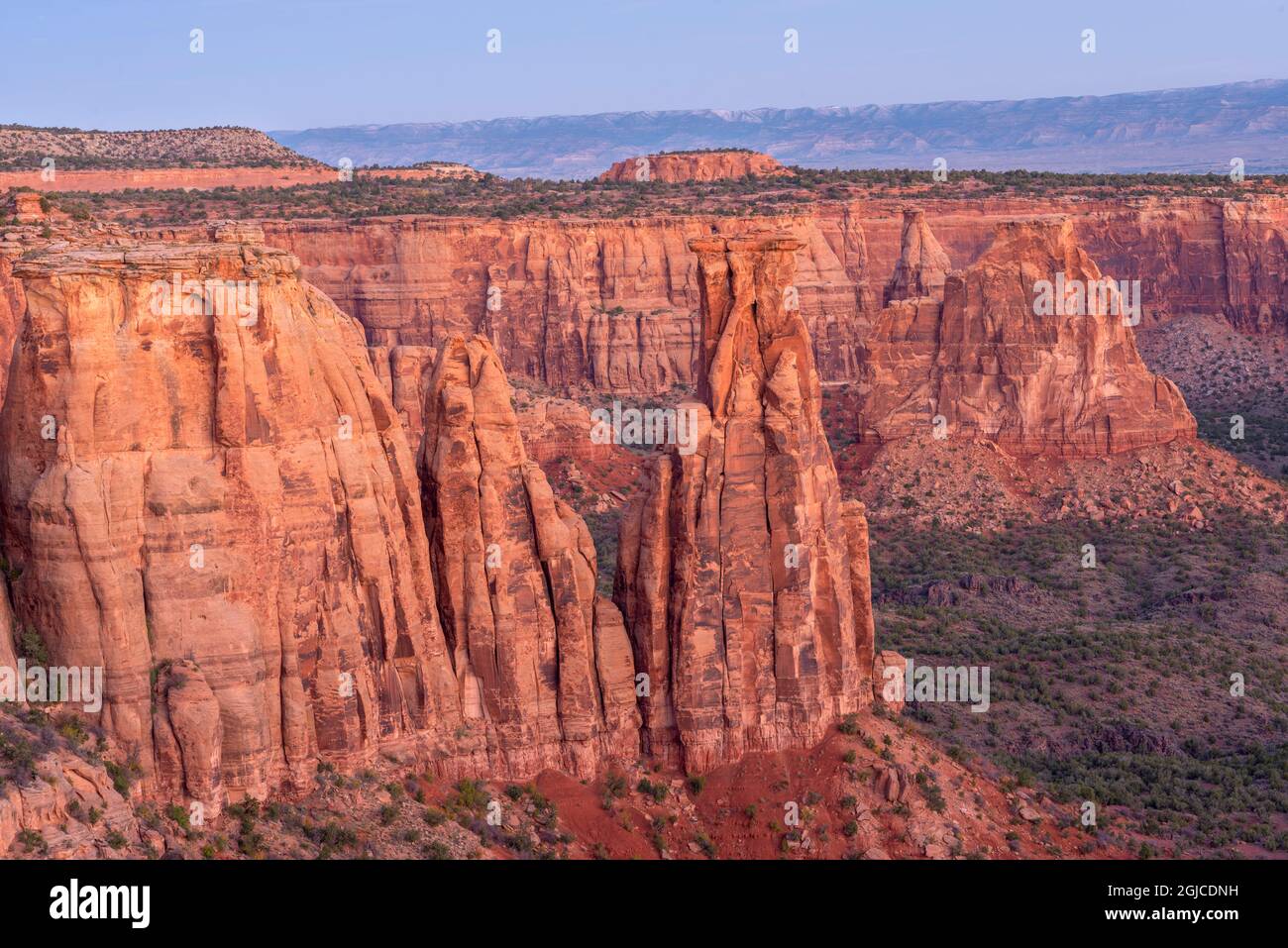 USA, Colorado, Colorado National Monument, Sandstone towers rise from base of Monument Canyon at dawn; Monument Canyon Overlook. Stock Photo