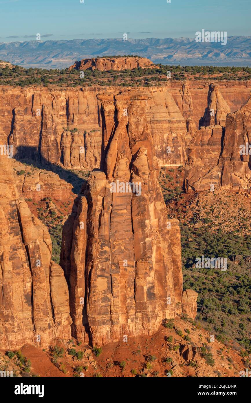 USA, Colorado, Colorado National Monument, Sandstone towers rise from base of Monument Canyon; Monument Canyon Overlook. Stock Photo