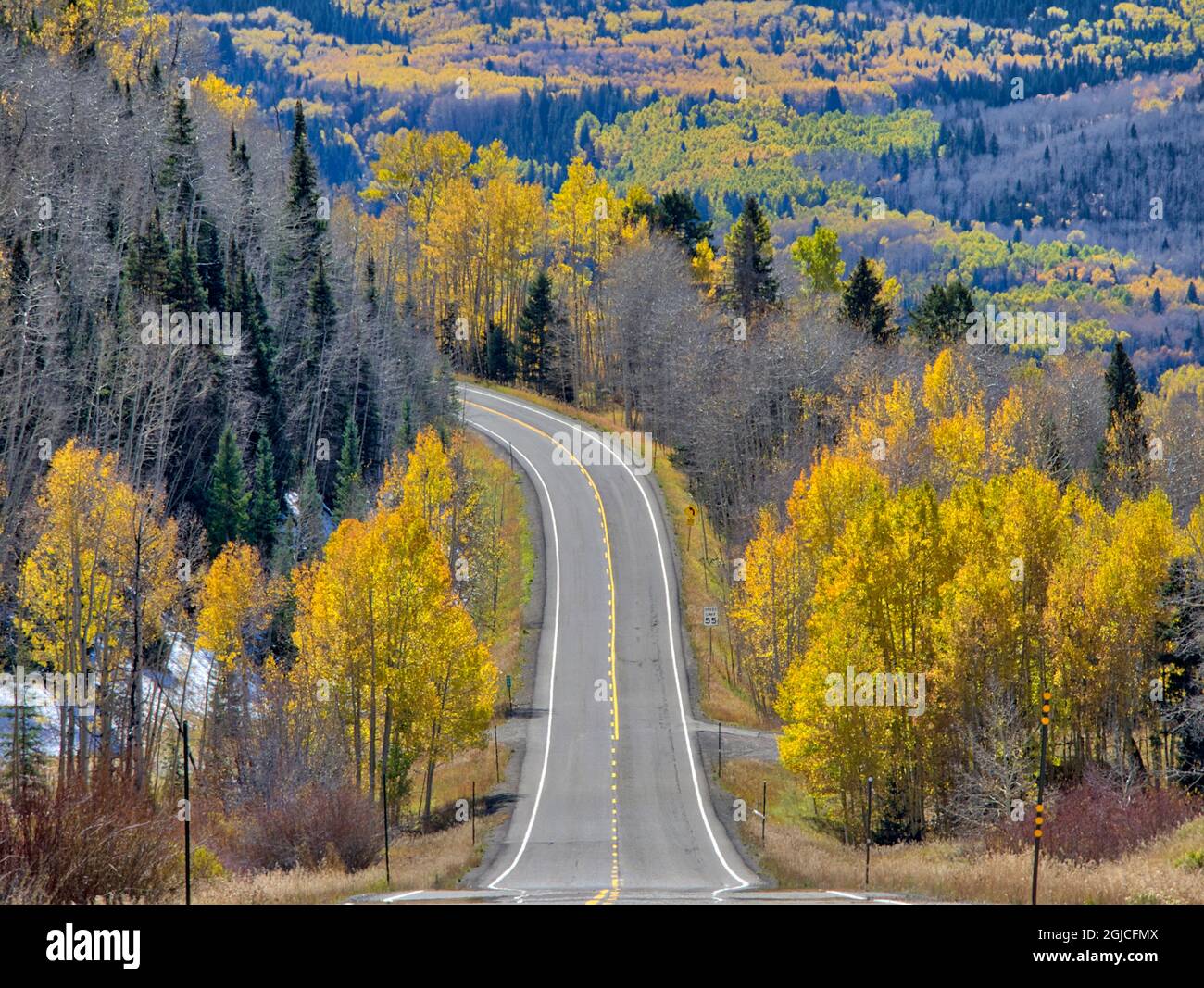 USA, Colorado. An empty Colorado highway 145 in midday surrounded by ...