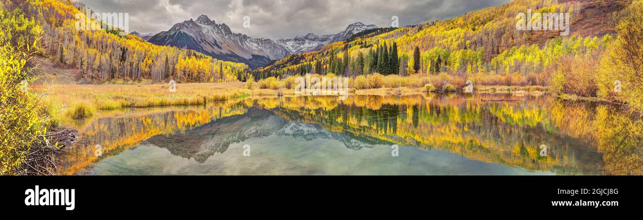 Mt. Snaffles and a sea of gold Aspen trees reflects in a large pond in autumn in the Colorado Rocky Mountains Stock Photo