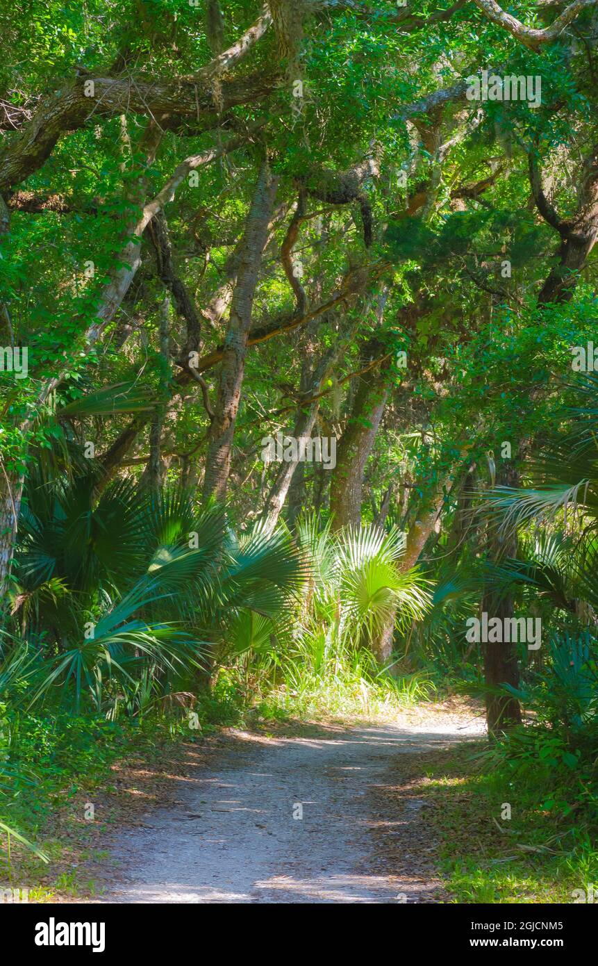 Florida, Tropical Garden Path Stock Photo - Alamy