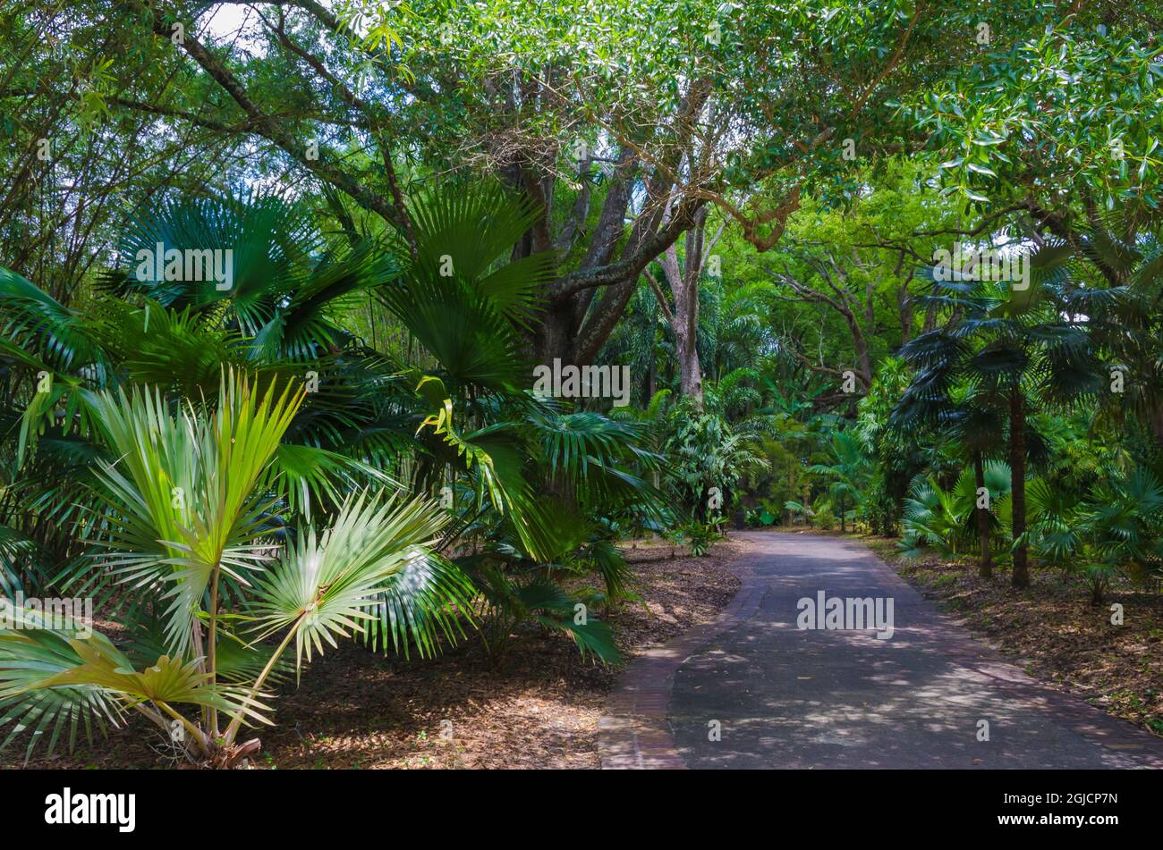 Florida tropical garden path hi-res stock photography and images - Alamy
