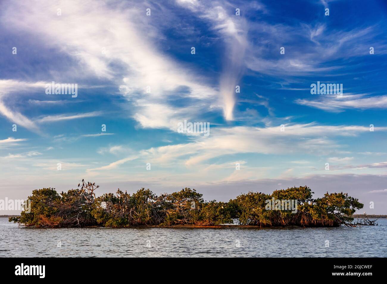Mangrove Island at Ten Thousand Islands National Wildlife Refuge in Everglades National Park, Florida, USA Stock Photo