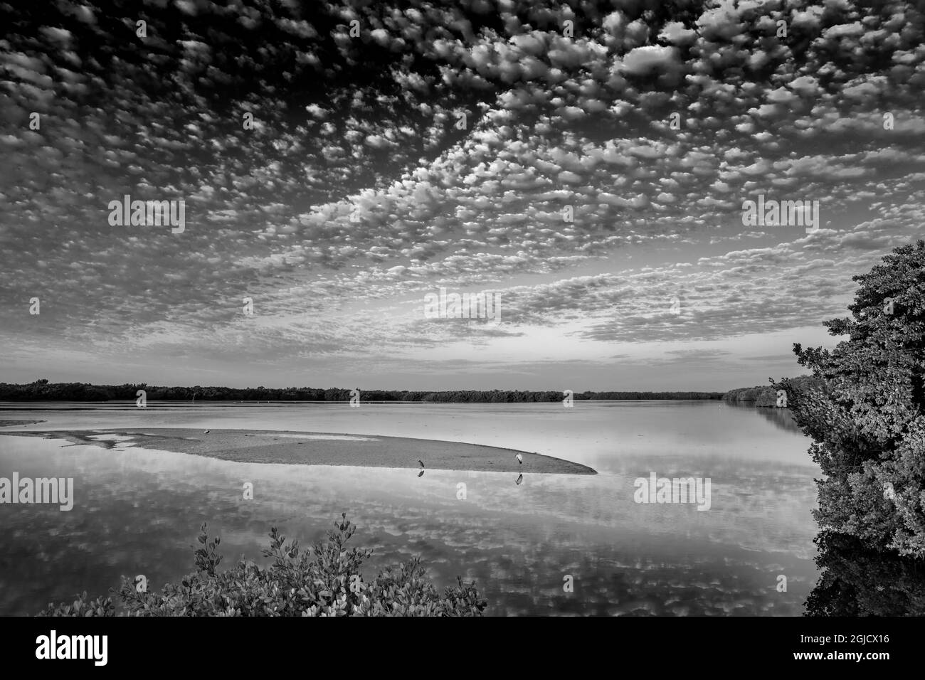 Sunrise clouds over ponds at Ding Darling National Wildlife Refuge in Sanibel Island, Florida, USA Stock Photo