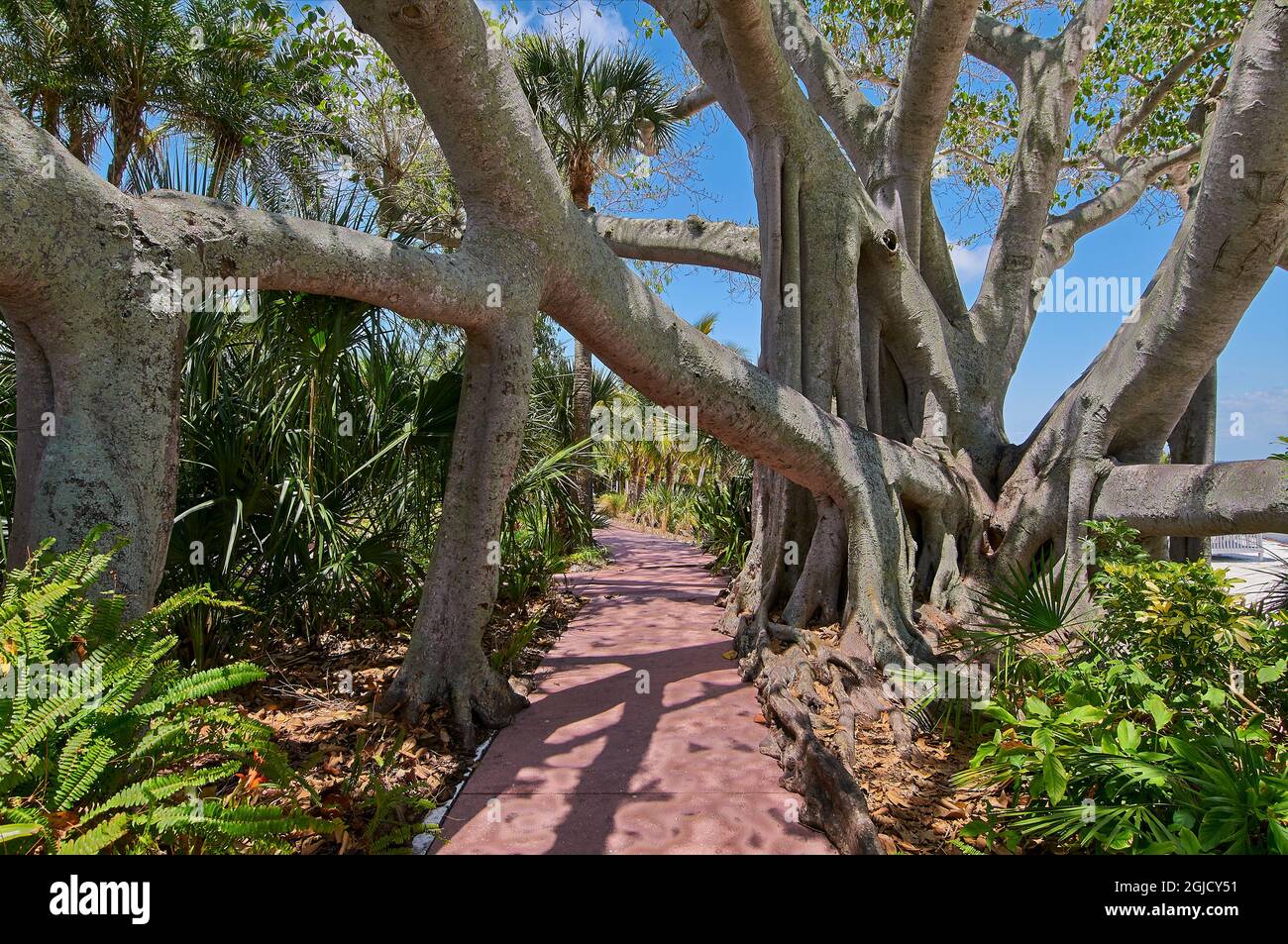 USA, Florida, Useppa Island. It was added to the U.S. Register of Historic Places in 1996. Stock Photo