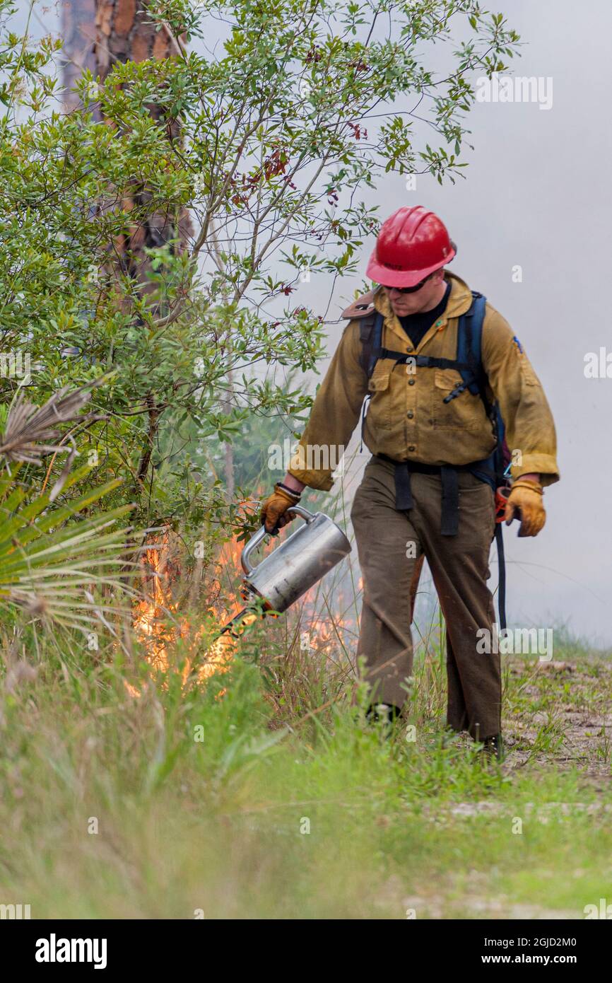 Firefighter spreads fire with drip torch Stock Photo - Alamy