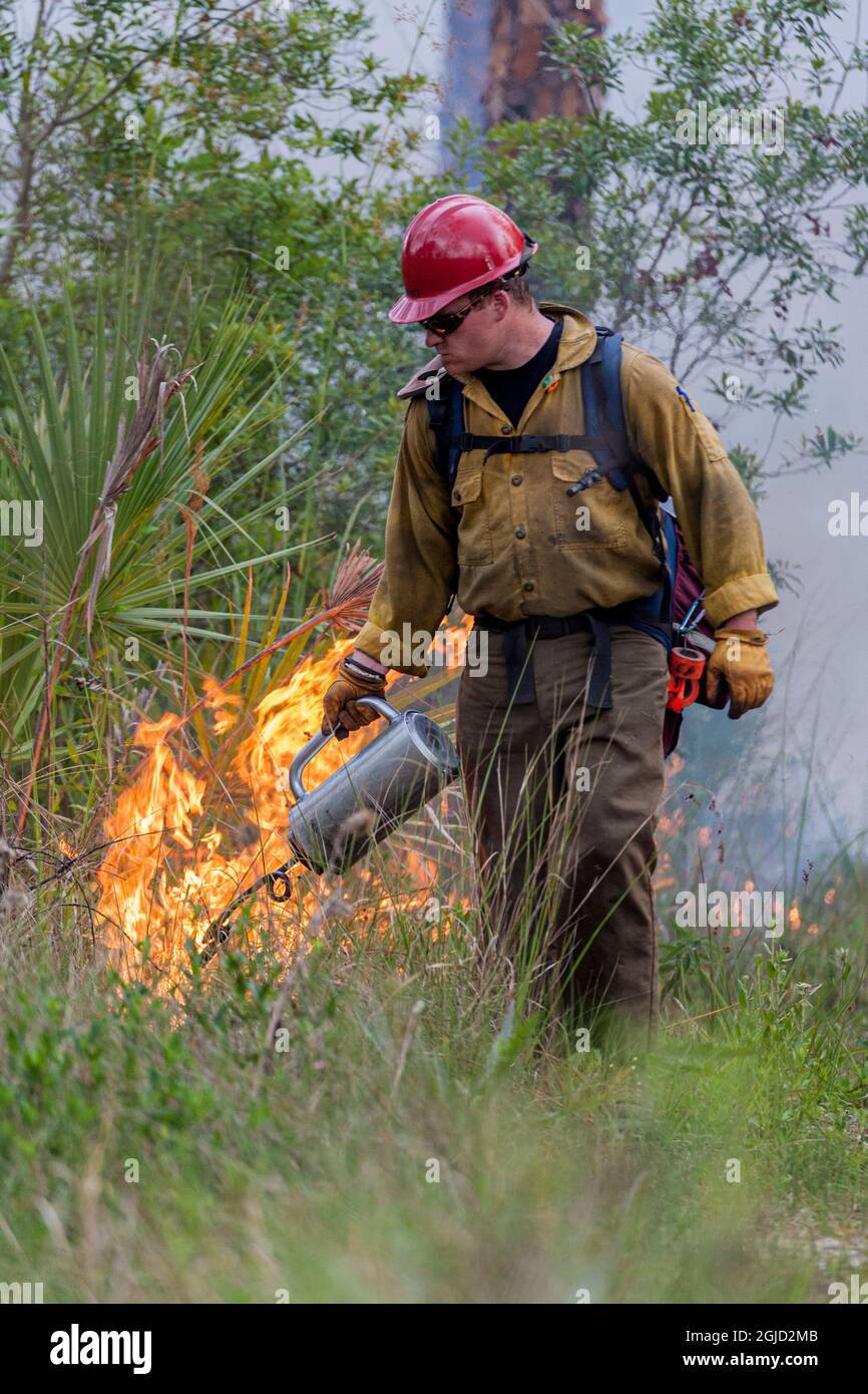 Firefighter spreads fire with drip torch Stock Photo - Alamy