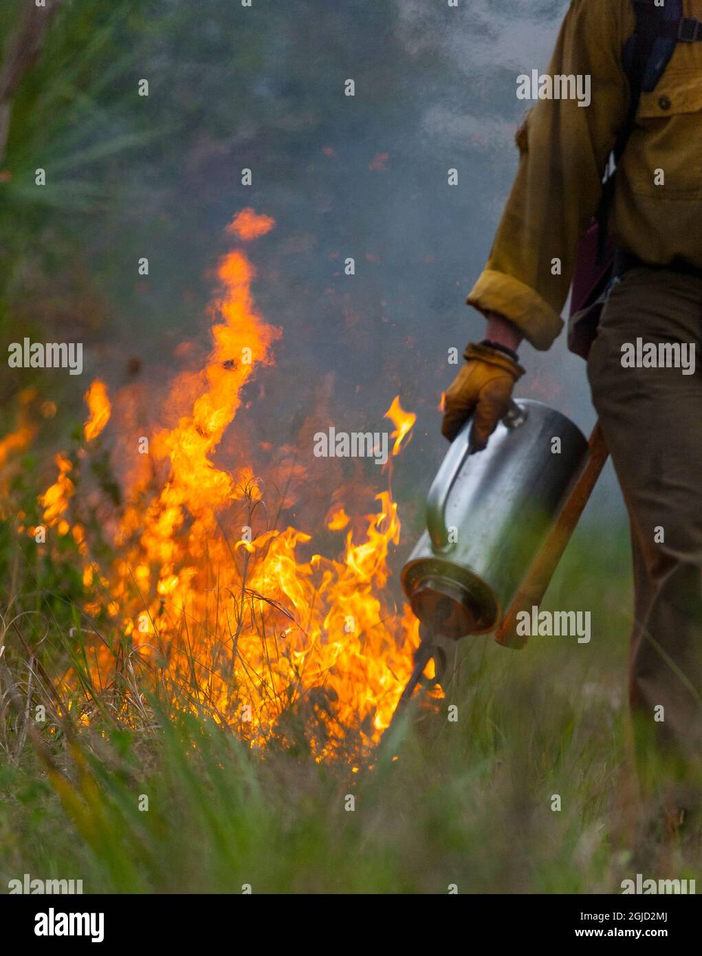 Firefighter spreads fire with drip torch Stock Photo - Alamy