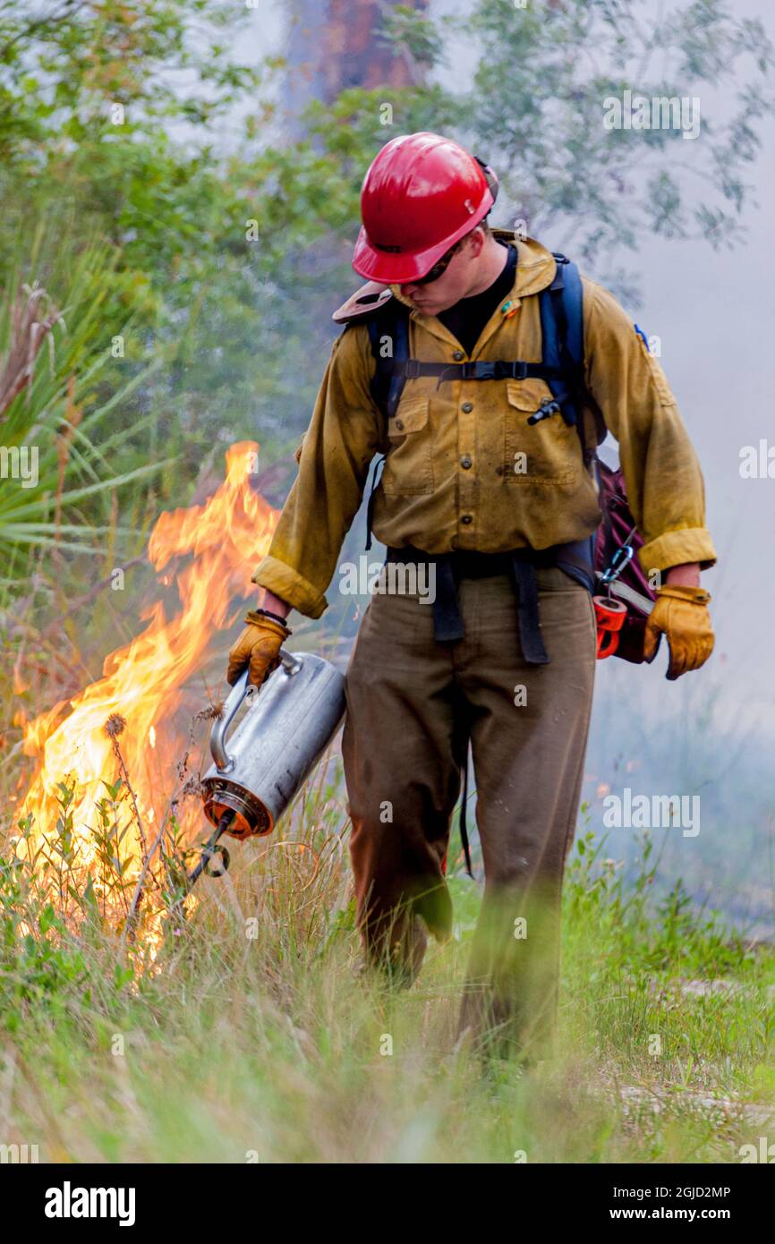 Firefighter spreads fire with drip torch Stock Photo - Alamy