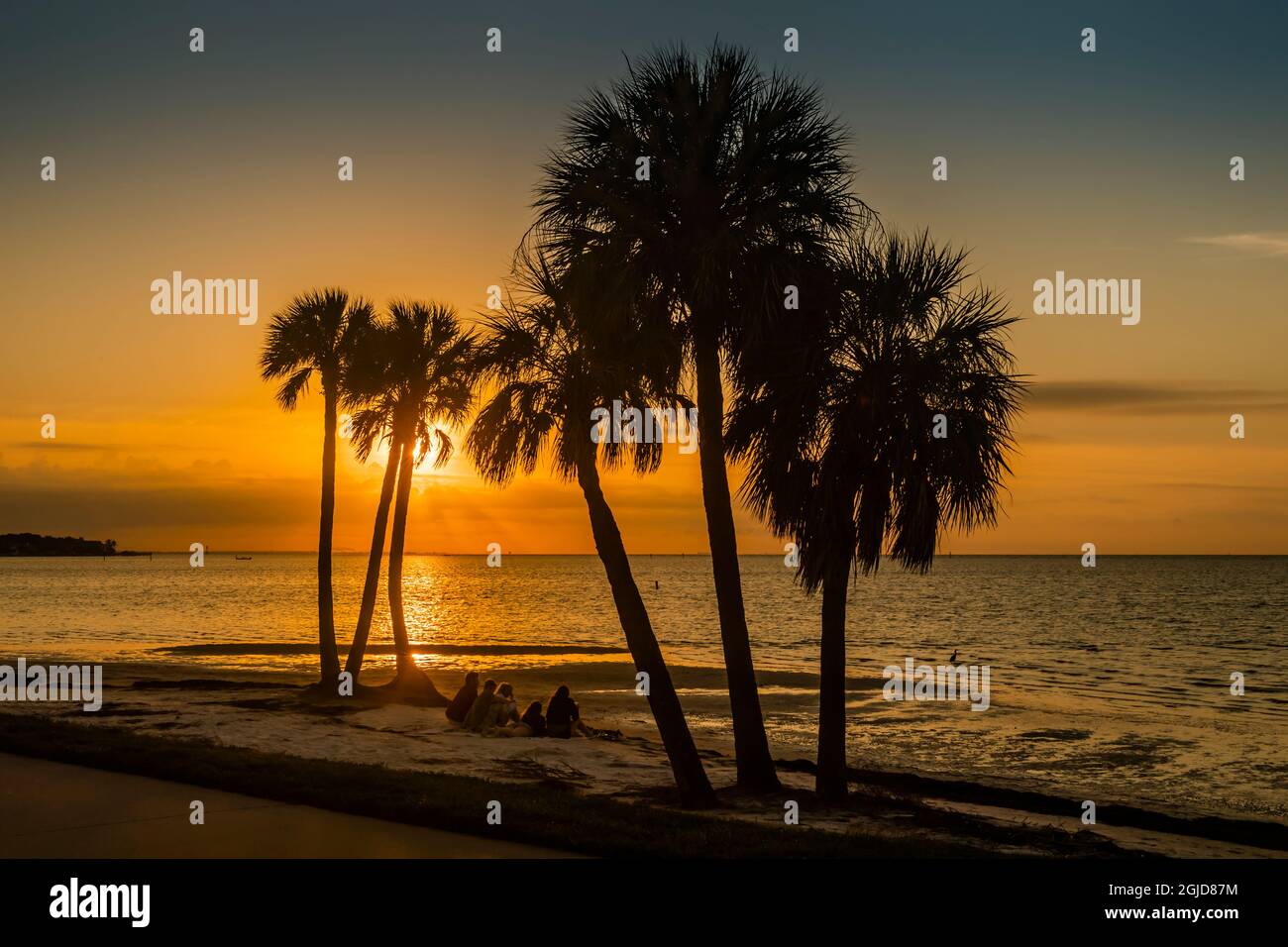 People sitting on the beach watching the sunrise over Old Tampa Bay ...